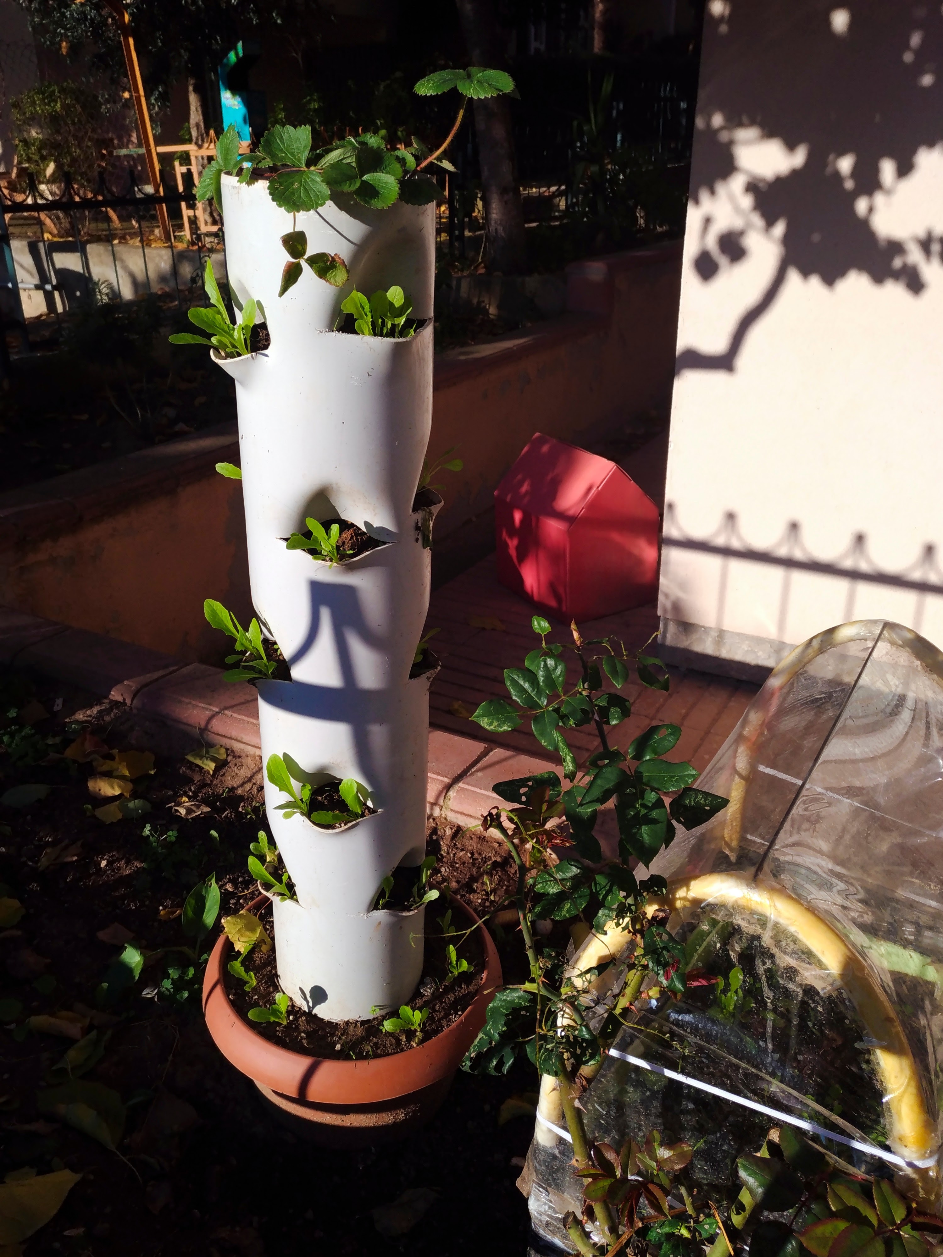 Self-Watering Vertical Plant Tower